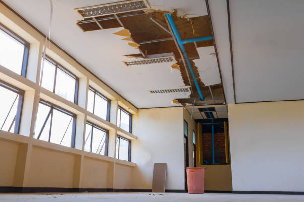 Best Water damage restoration insurance claims  in Chelsea, AL
