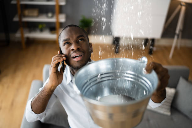 Reliable Chelsea, AL Water damage restoration Solutions