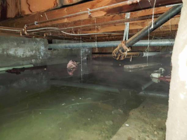Water damage restoration process in Chelsea, AL