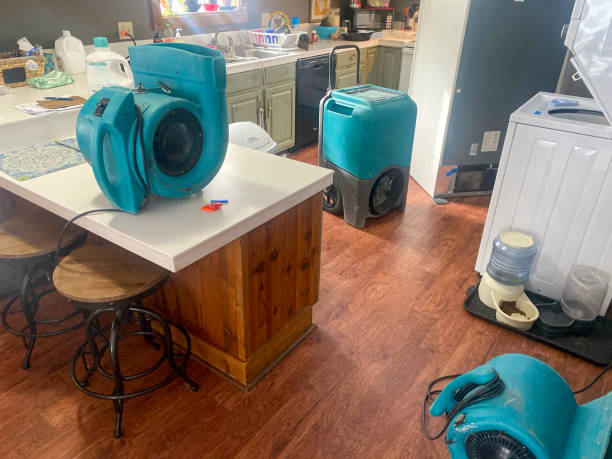 Water damage restoration experts in Chelsea, AL