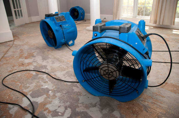 Best Flood restoration services  in Chelsea, AL