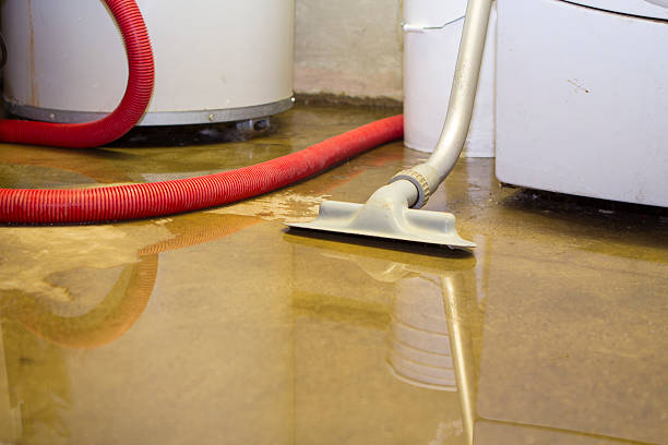 Best Carpet water damage restoration  in Chelsea, AL