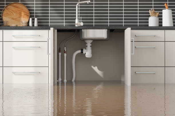 Best Water damage restoration near me  in Chelsea, AL