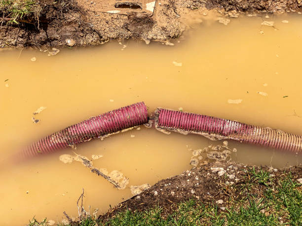 Best Water damage restoration process  in Chelsea, AL