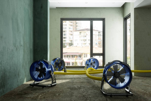 Best Residential water damage restoration  in Chelsea, AL