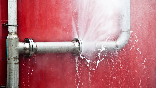 Best Local water damage restoration  in Chelsea, AL